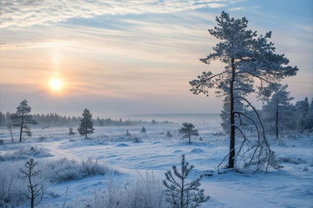 Χιονισμένο τοπίο στη Γερμανία με χαμηλές θερμοκρασίες και παγετό