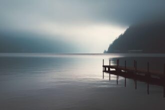nature, landscape, lake, web, jetty, fog, mood, contrast, jetty, jetty, jetty, jetty, jetty