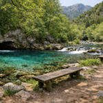 Eine unberührte Flussquelle umgeben von dichten grünen Bäumen in einer Berglandschaft.