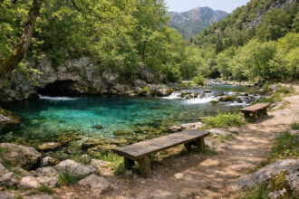 Eine unberührte Flussquelle umgeben von dichten grünen Bäumen in einer Berglandschaft.