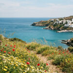 Blick auf ein ruhiges Küstendorf in Griechenland im Frühling mit blühenden Blumen im Vordergrund und dem Meer im Hintergrund.