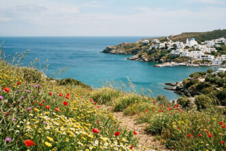 Blick auf ein ruhiges Küstendorf in Griechenland im Frühling mit blühenden Blumen im Vordergrund und dem Meer im Hintergrund.