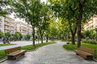 Πάρκο στη Θεσσαλονίκη με ψηλά δέντρα και παγκάκια υπό το φως του απογευματινού ήλιου