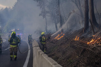 Πυροσβέστες επιχειρούν σε δασική πυρκαγιά δίπλα σε αυτοκινητόδρομο στη Βαυαρία