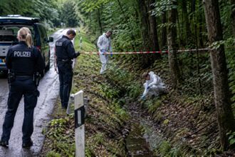 Αστυνομική έρευνα σε δασώδη επαρχιακό δρόμο της Γερμανίας.