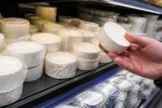 Συμβολική εικόνα με μικρά τυριά μπρι σε ψυγείο καταστήματος στη Γερμανία